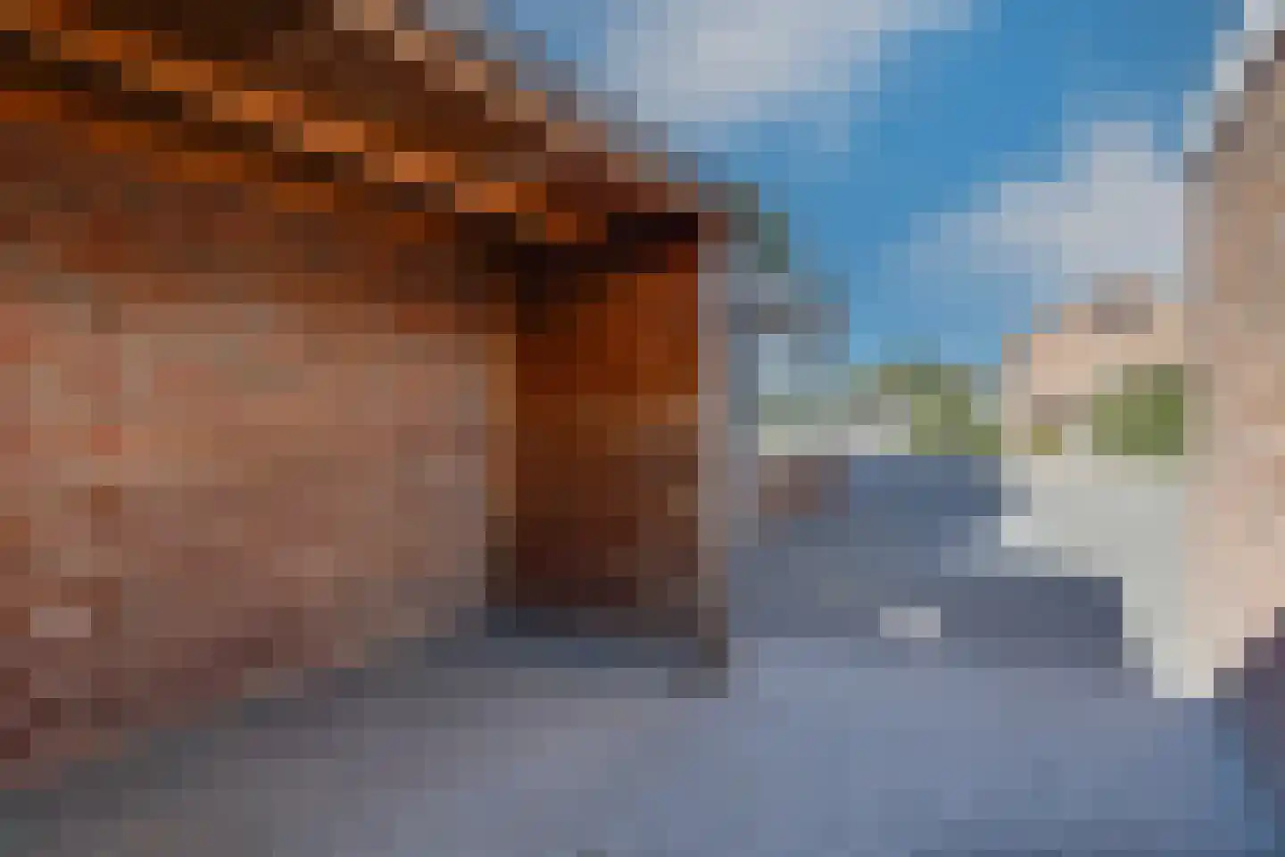 Jupiter 38 Aalten thumbnail 45
