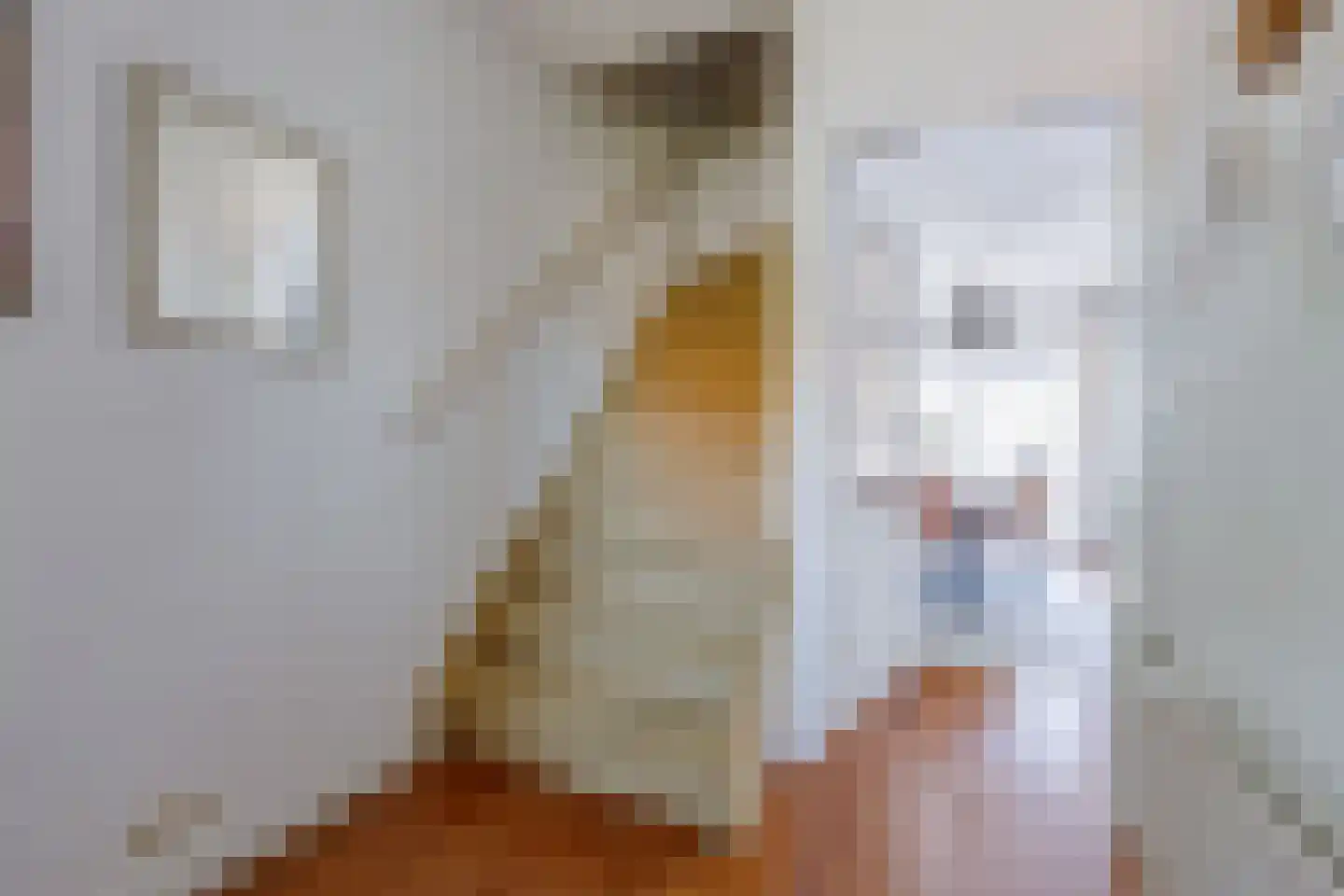 Jupiter 38 Aalten thumbnail 8