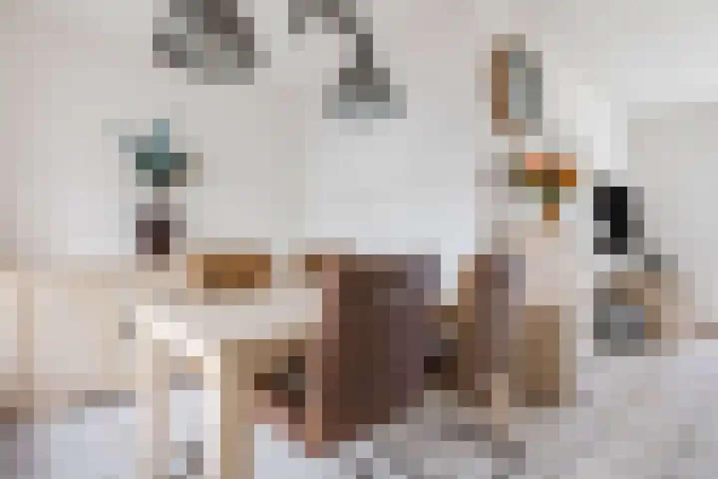 Jupiter 4 Hapert thumbnail 13