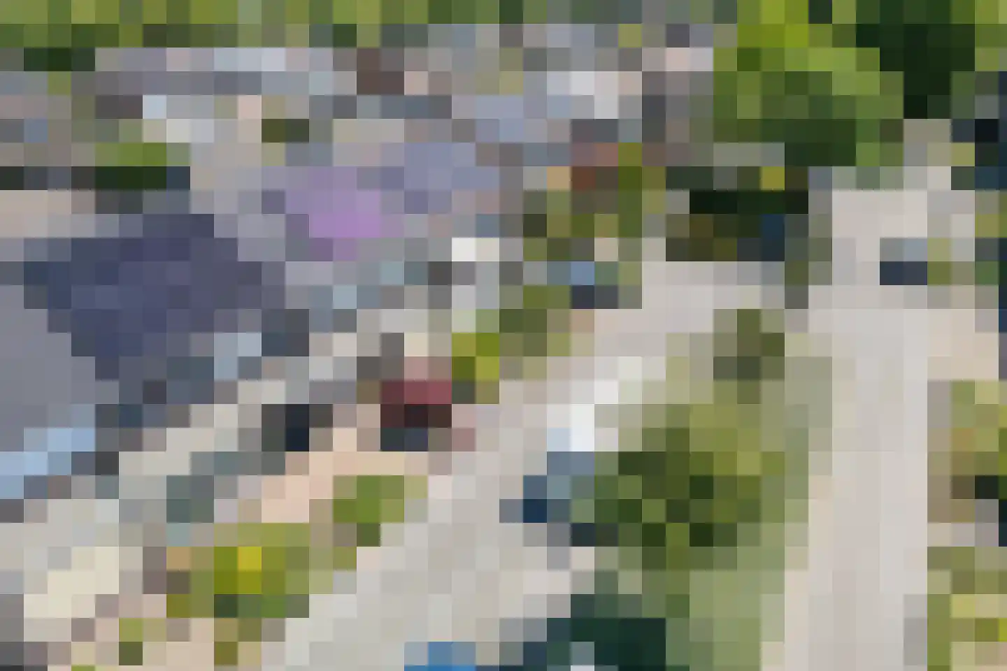 Jupiter 4 Hapert thumbnail 44