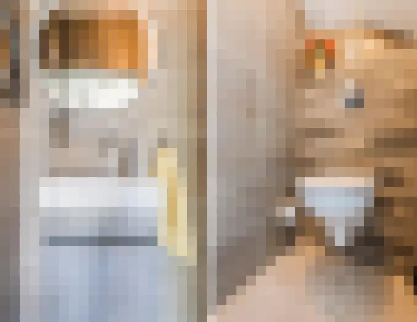 Jupiter 4 Hapert thumbnail 6