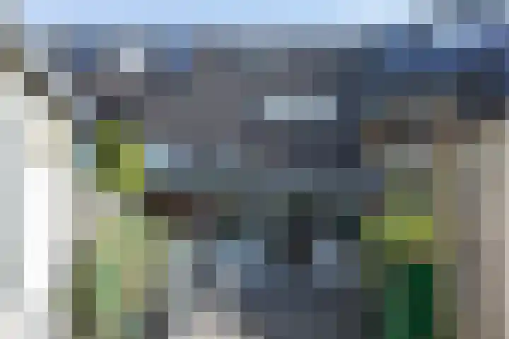 Jupiter 46 Berkel en Rodenrijs thumbnail 33
