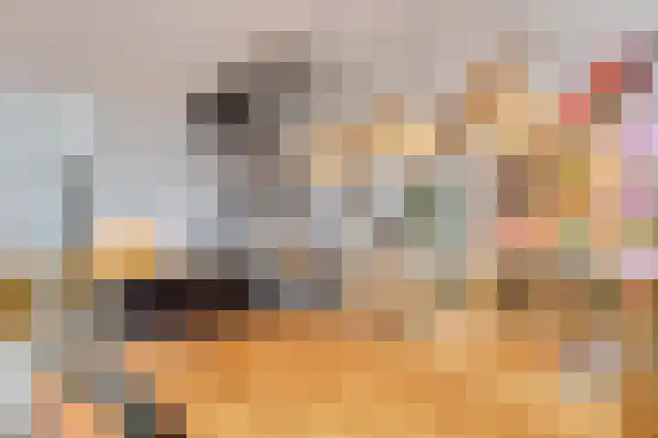 Jupiter 5 Aalten thumbnail 17