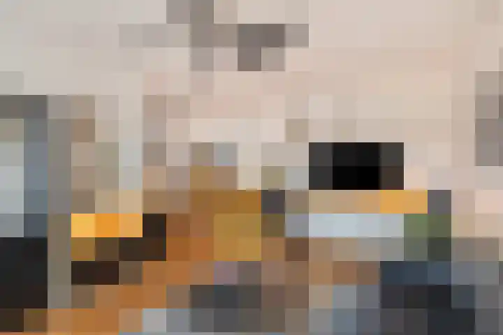 Jupiter 5 Aalten foto 2