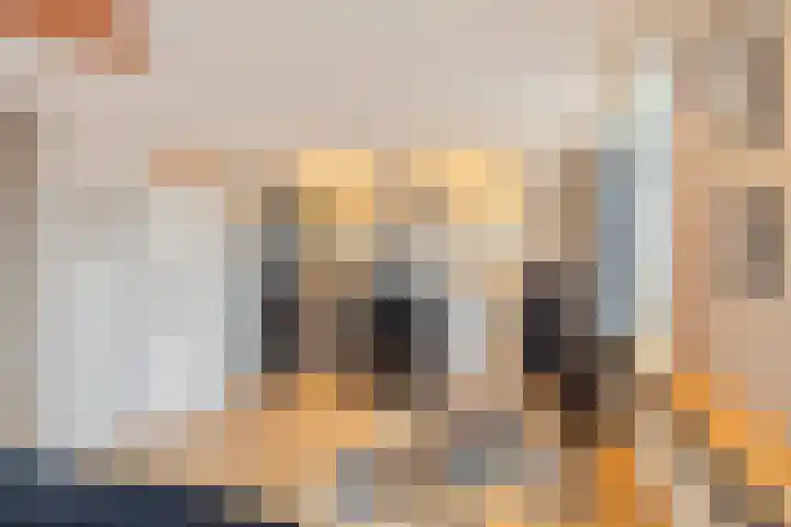 Jupiter 5 Aalten thumbnail 21