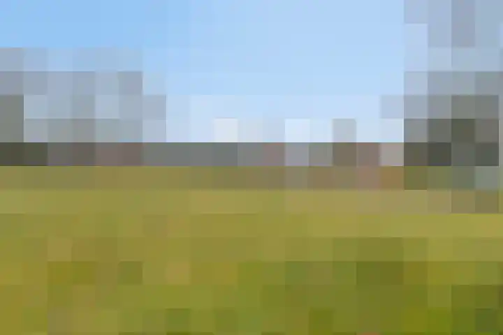 Jupiter 5 Aalten thumbnail 37