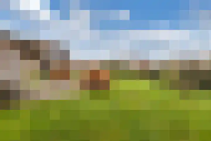 Jupiter 5 Aalten thumbnail 42