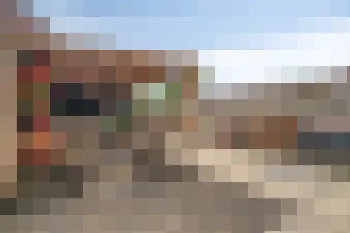 Jupiter 56 Oostburg thumbnail 28