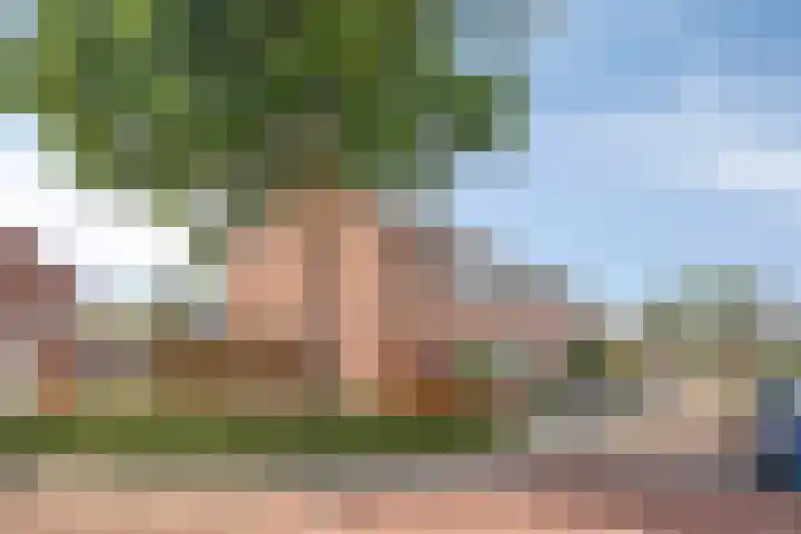 Jupiter 56 Oostburg thumbnail 37