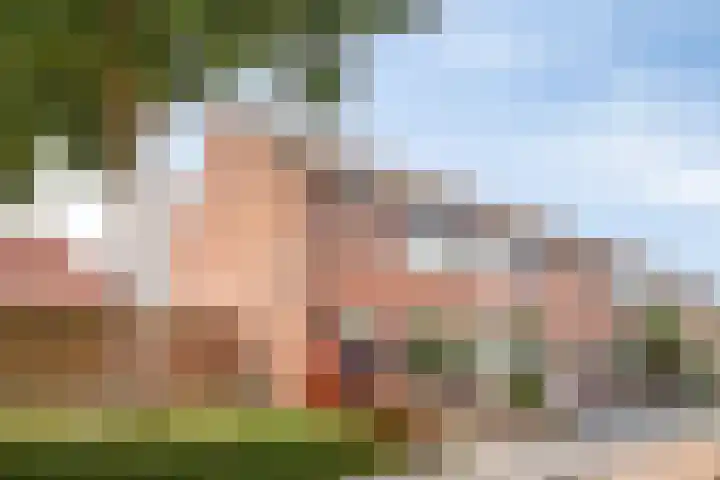 Jupiter 56 Oostburg thumbnail 4