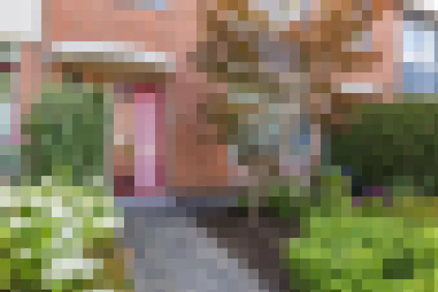 Jupiter 59 Hoogeveen thumbnail 7