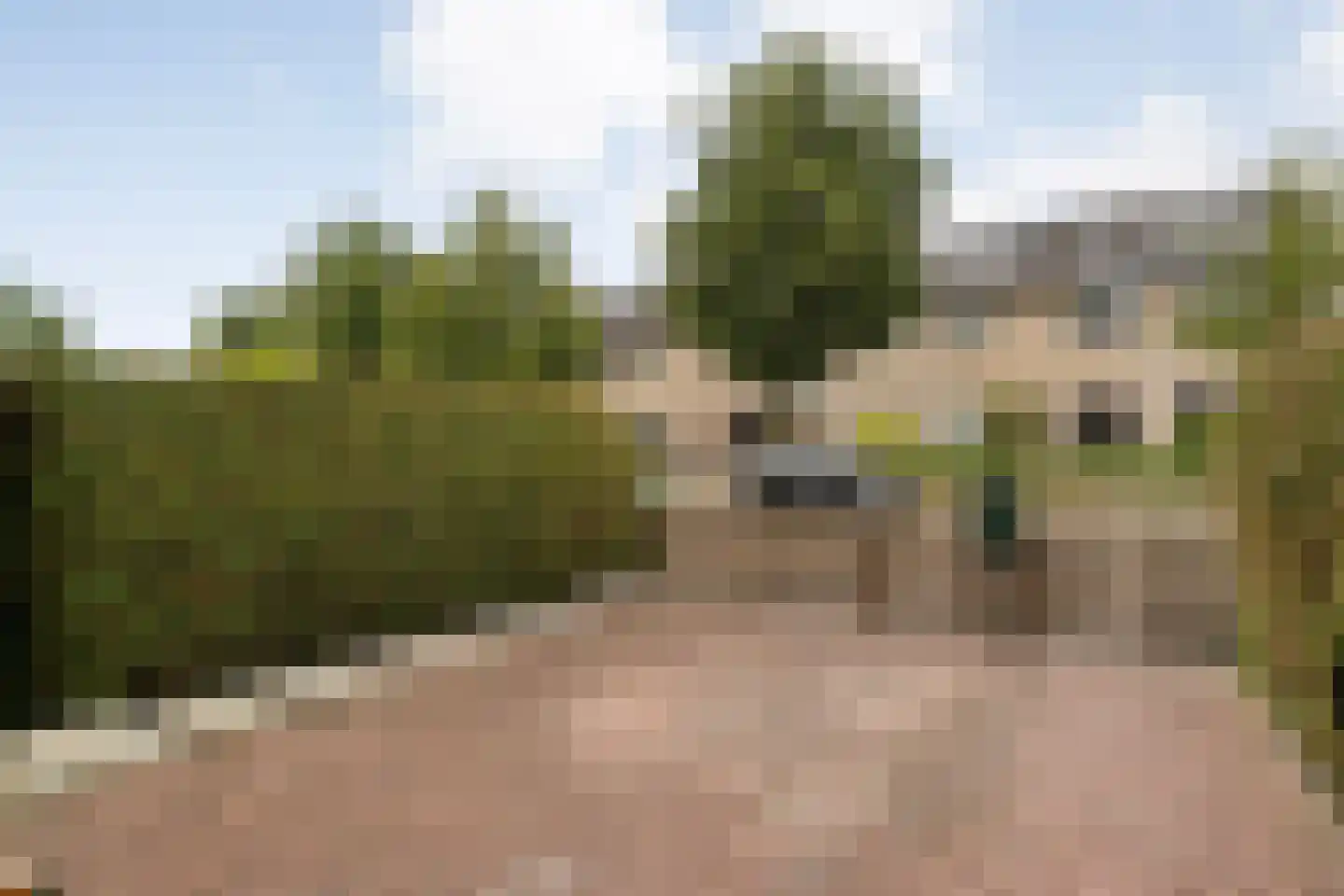 Jupiter 61 Hoogeveen thumbnail 7