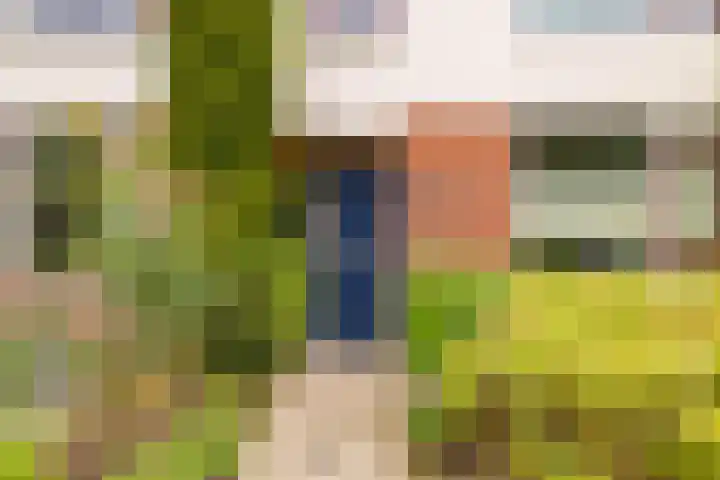 Jupiter 67 Hoogeveen thumbnail 6
