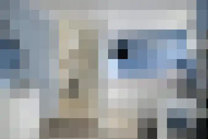Jupiter 82 Berkel en Rodenrijs thumbnail 30