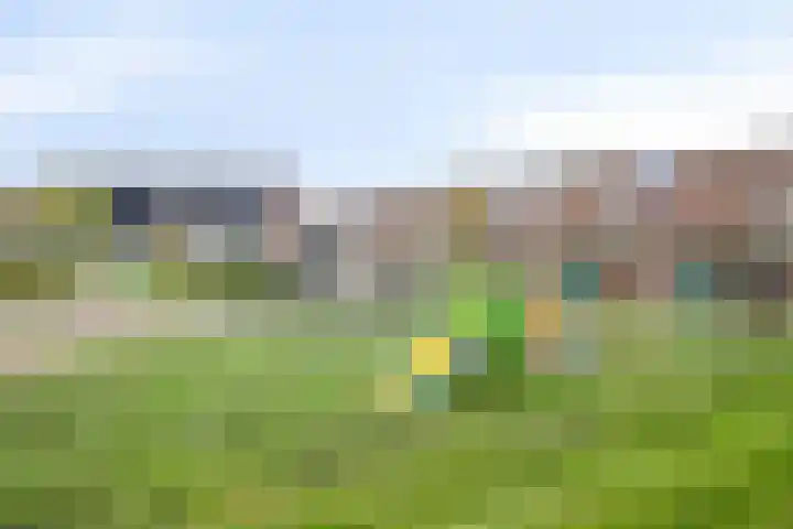 Jupiter 82 Berkel en Rodenrijs thumbnail 36
