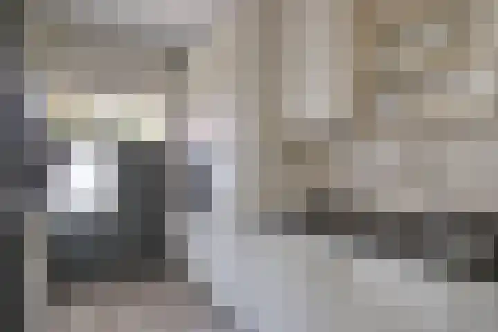 Jupiter 82 Berkel en Rodenrijs thumbnail 9
