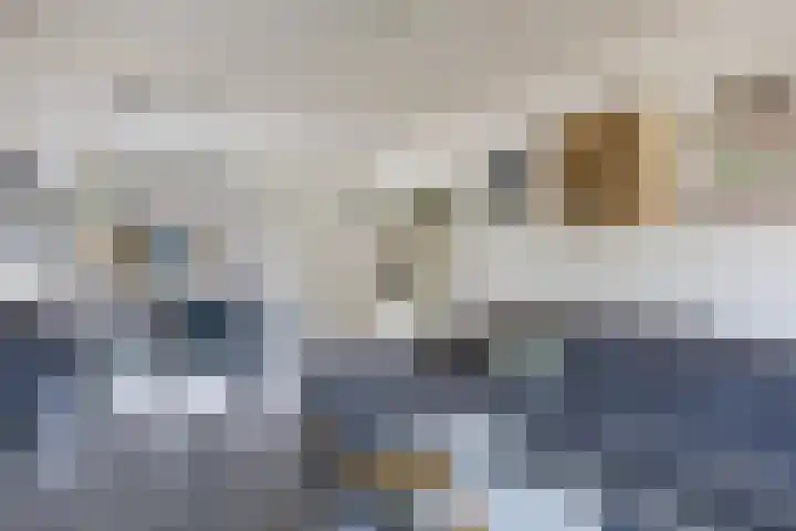 Jupiter 87 Hoogeveen thumbnail 7