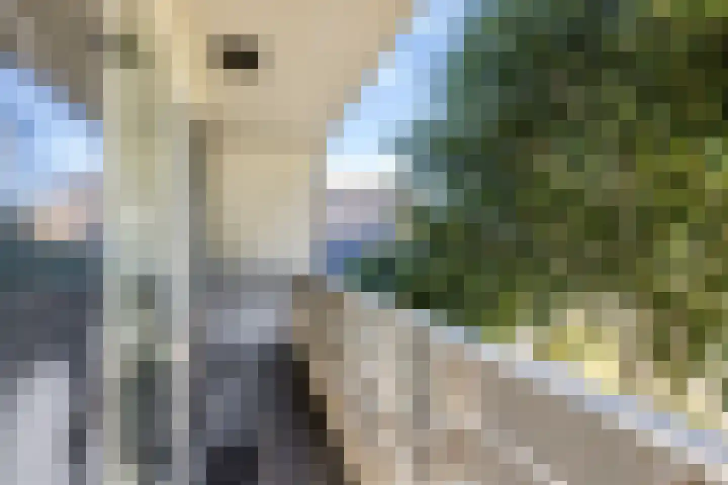 Jupiterbaan 2 Franeker thumbnail 32