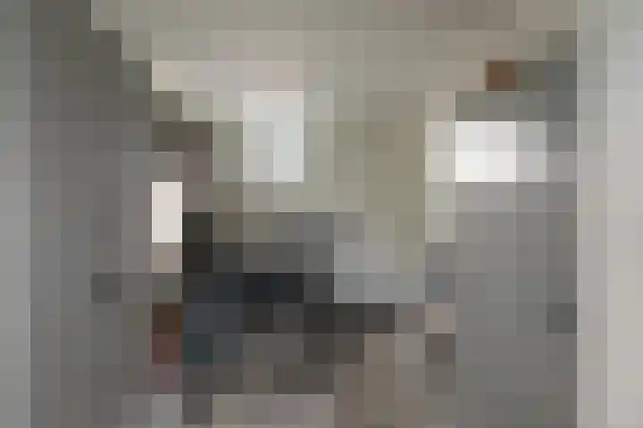 Jupiterbaan 20 Franeker thumbnail 17