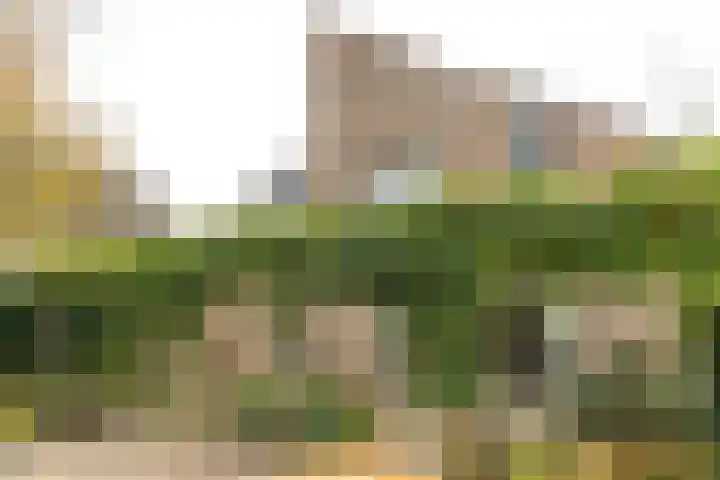 Jupiterbaan 20 Franeker thumbnail 31