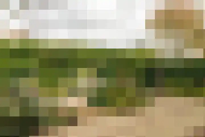 Jupiterbaan 20 Franeker thumbnail 32