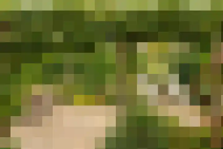 Jupiterbaan 20 Franeker thumbnail 33