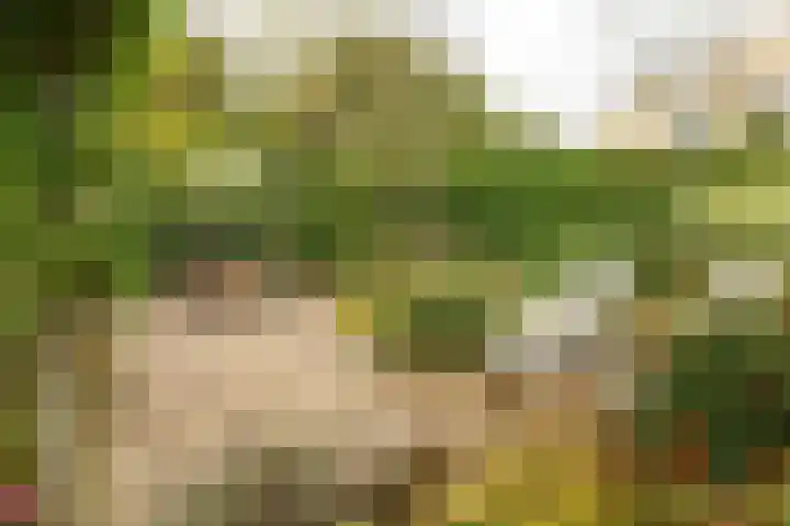 Jupiterbaan 20 Franeker thumbnail 34