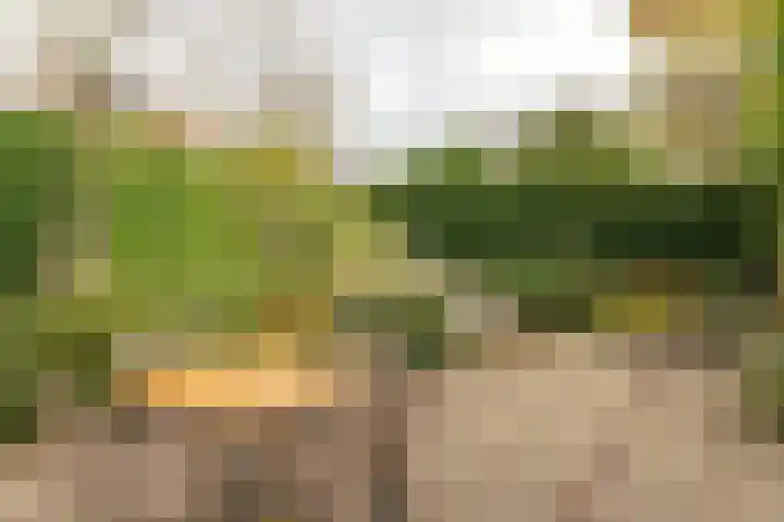 Jupiterbaan 20 Franeker thumbnail 36
