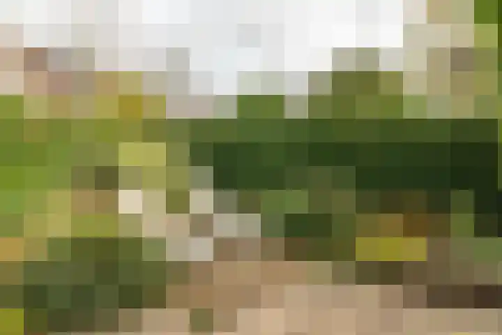 Jupiterbaan 20 Franeker thumbnail 37