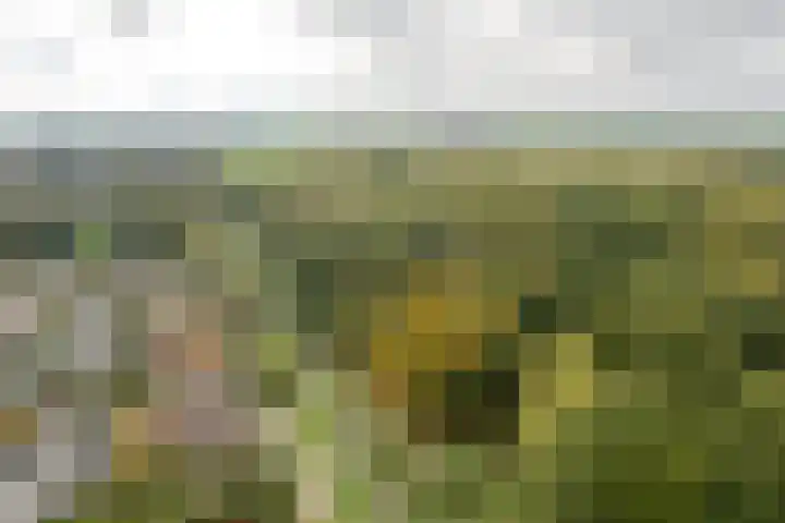 Jupiterbaan 20 Franeker thumbnail 4