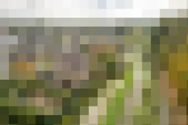 Jupiterbaan 20 Franeker thumbnail 5