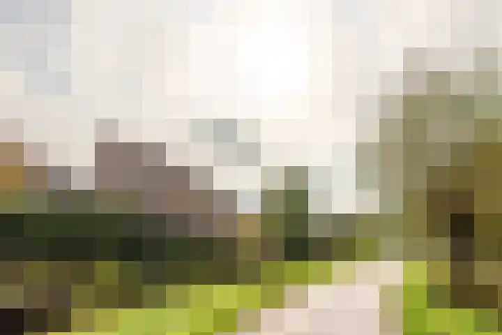 Jupiterbaan 20 Franeker thumbnail 6