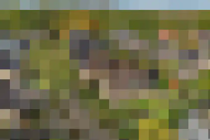 Jupiterbaan 6 Franeker thumbnail 10