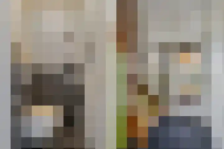 Jupiterbaan 6 Franeker thumbnail 13