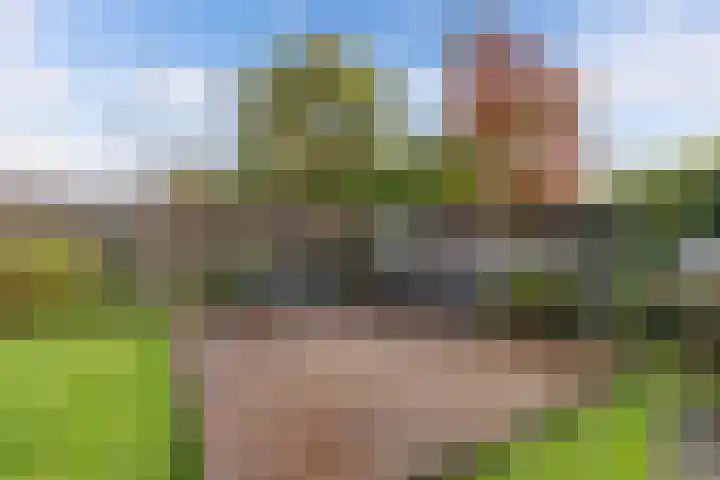 Jupiterbaan 6 Franeker thumbnail 44