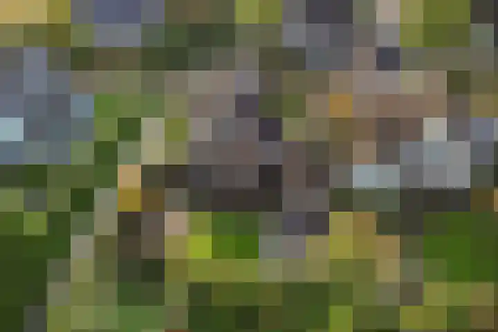 Jupiterbaan 6 Franeker thumbnail 45