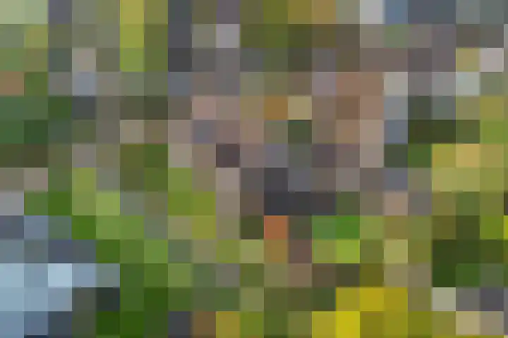 Jupiterbaan 6 Franeker thumbnail 46