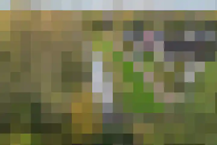 Jupiterbaan 6 Franeker thumbnail 47