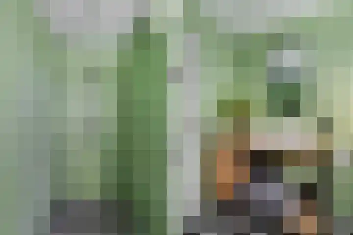 Jupiterbaan 6 Franeker thumbnail 60