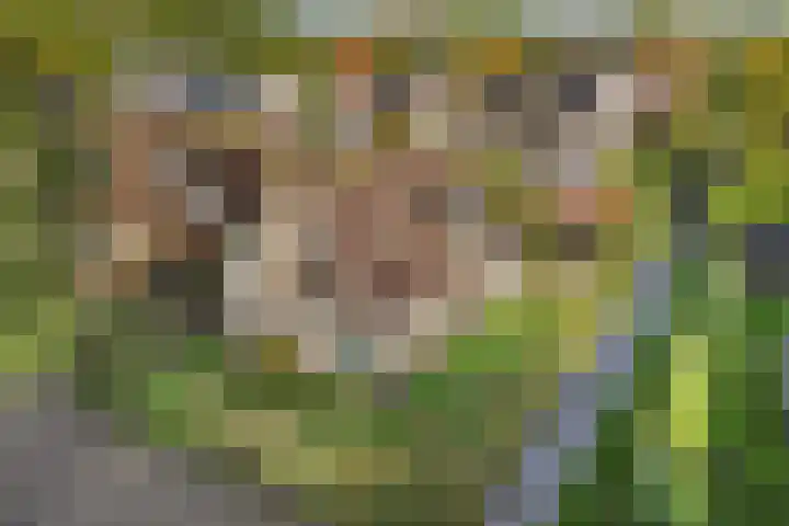 Jupiterbaan 6 Franeker thumbnail 9