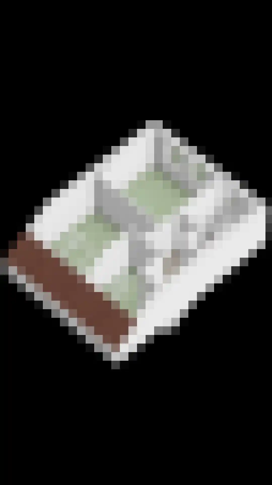 Jupiterhof 22 Oude-Tonge thumbnail 34
