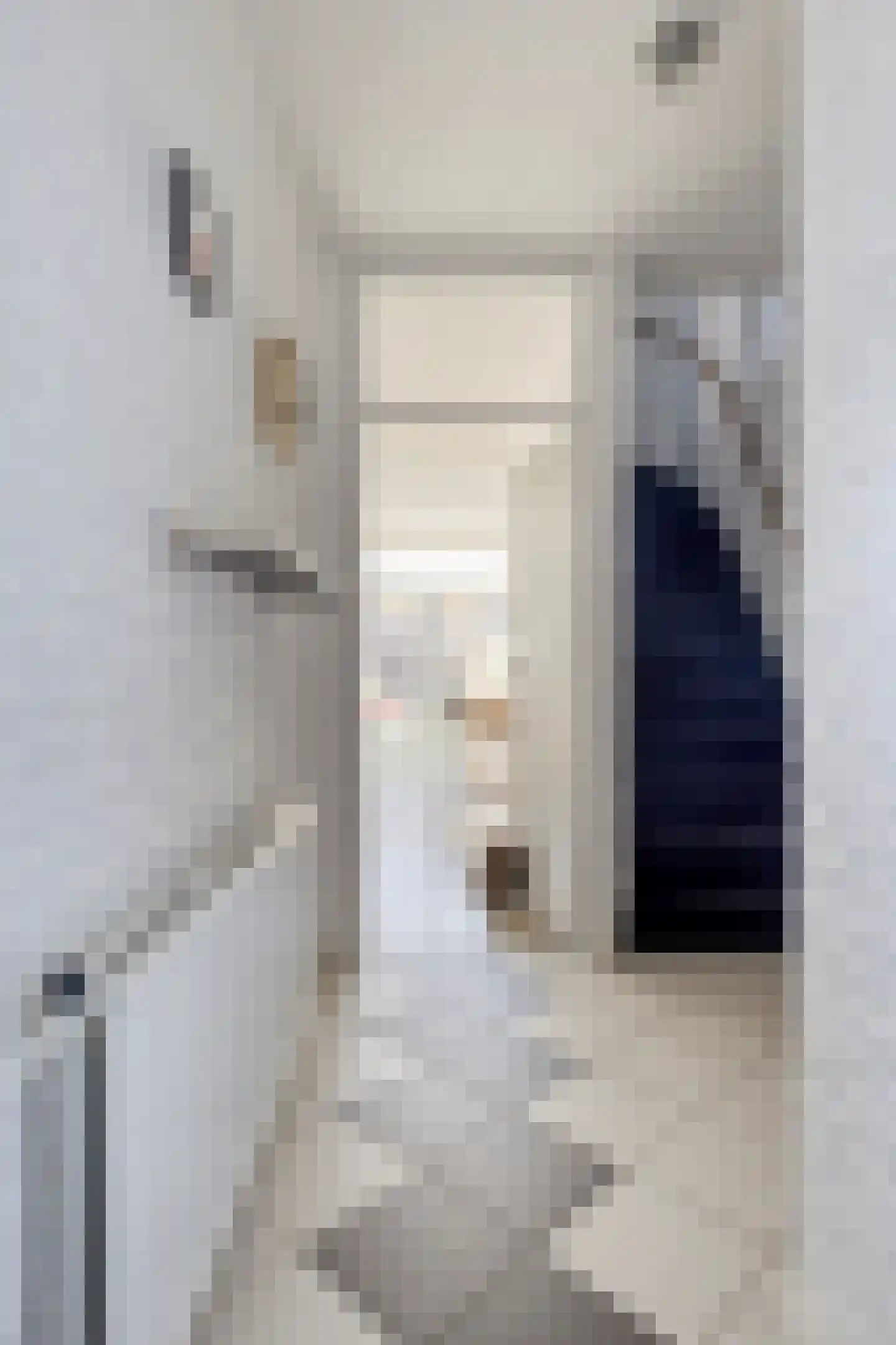Jupiterhof 22 Oude-Tonge thumbnail 7