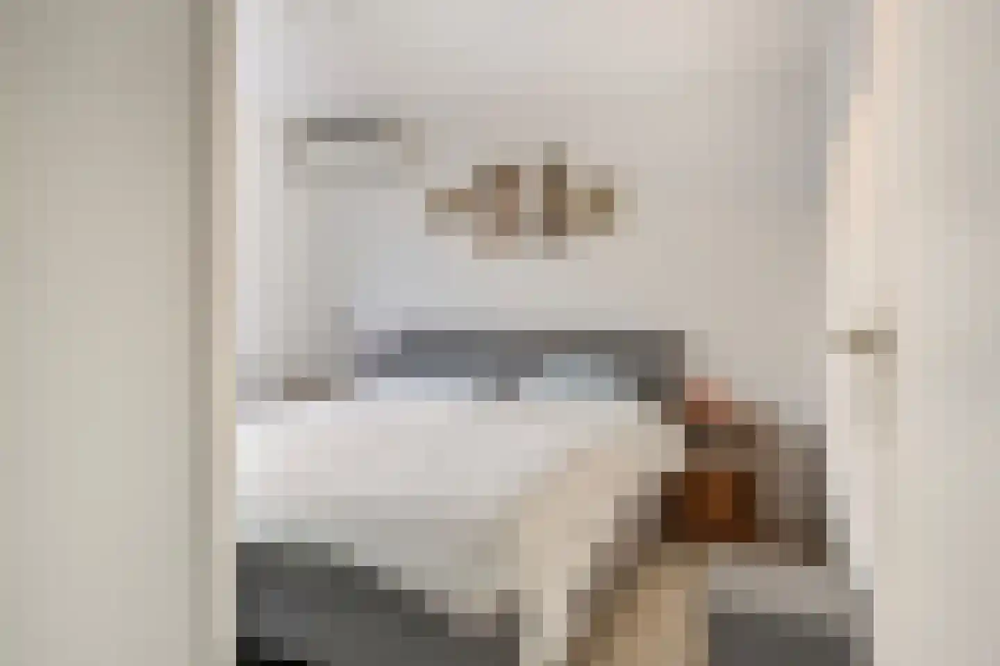 Jupiterhof 24 Oude-Tonge thumbnail 22