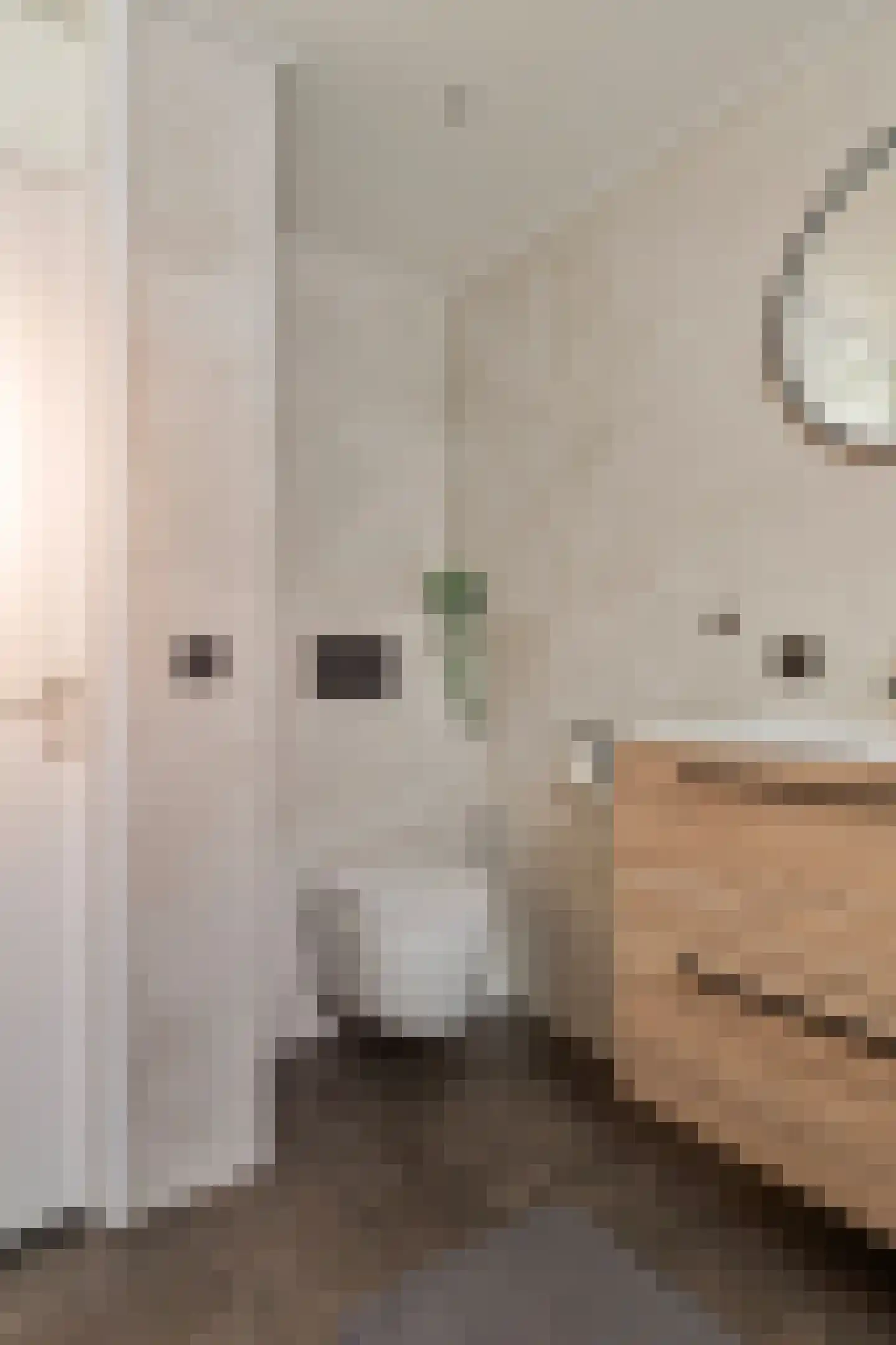 Jupiterhof 24 Oude-Tonge thumbnail 31