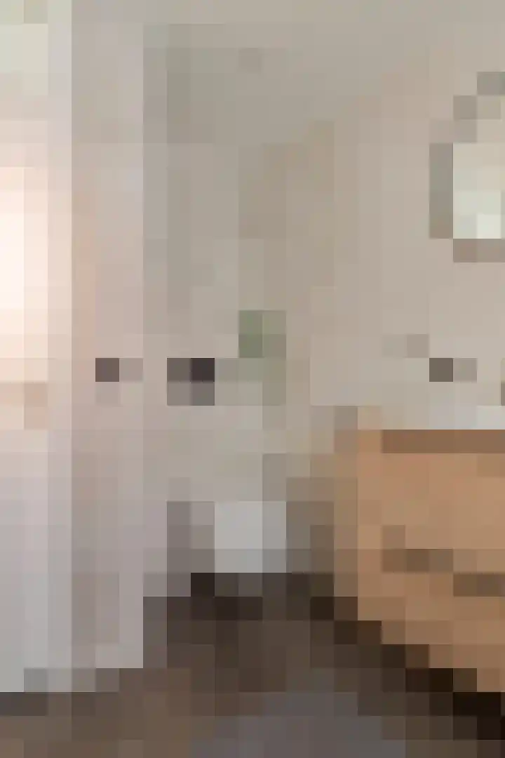 Jupiterhof 24 Oude-Tonge thumbnail 31