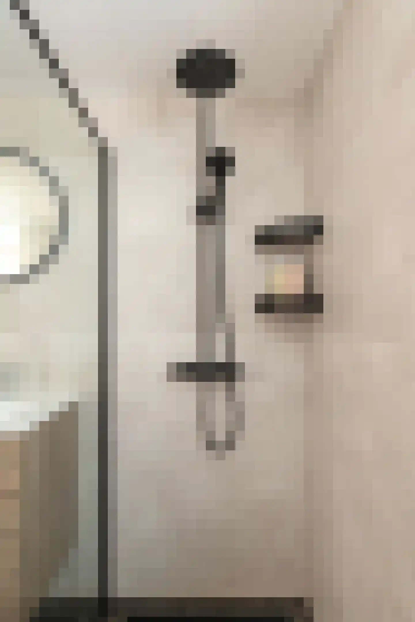 Jupiterhof 24 Oude-Tonge thumbnail 32