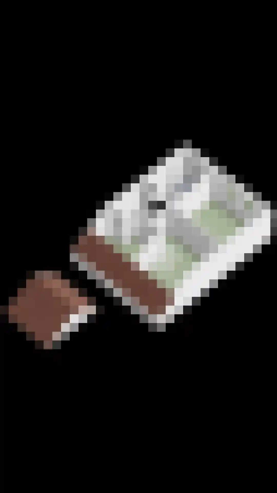 Jupiterhof 24 Oude-Tonge thumbnail 45