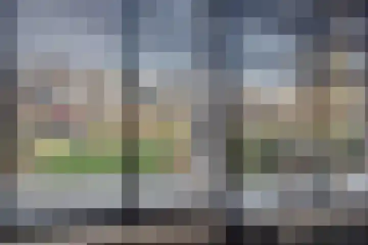 Jupiterhof 6 Wijk bij Duurstede thumbnail 18