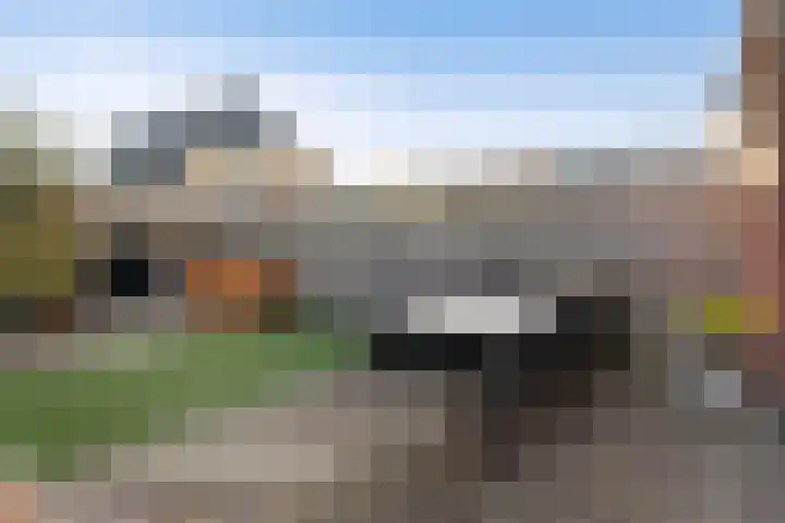 Jupiterhof 6 Wijk bij Duurstede thumbnail 25