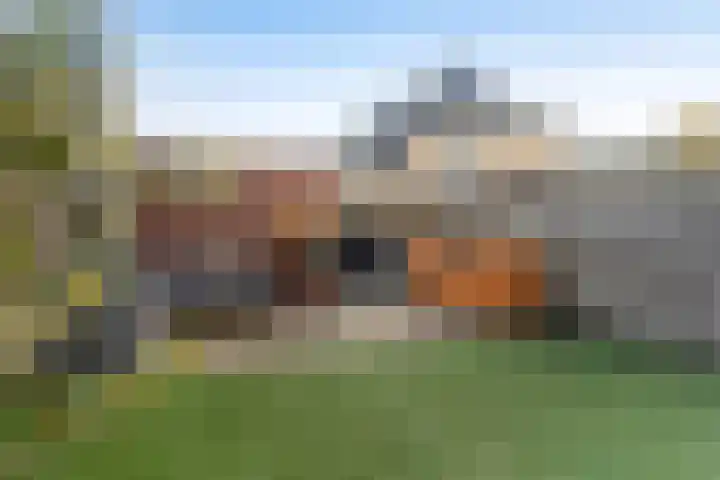 Jupiterhof 6 Wijk bij Duurstede thumbnail 27